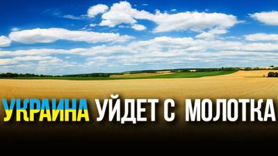 Запад готовит новую ловушку? Запад готовит новую ловушку?