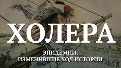 Эпидемии, изменившие ход истории. Холера Эпидемии, изменившие ход истории. Холера