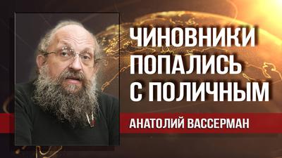 Анатолий Вассерман. Гуглгейт – злой умысел или обычная глупость? Анатолий Вассерман. Гуглгейт – злой умысел или обычная глупость?