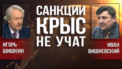 И. Шишкин, И. Вишневский. Стратегический курс прозападной власти полностью провалился И. Шишкин, И. Вишневский. Стратегический курс прозападной власти полностью провалился