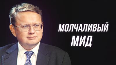 Михаил Делягин. Изгибы российской дипломатии Михаил Делягин. Изгибы российской дипломатии