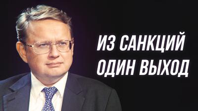 Михаил Делягин. Как защитить экономику и население Михаил Делягин. Как защитить экономику и население
