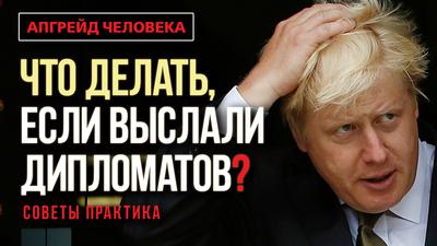 Что делать, если выслали дипломатов? Советы практика. Апгрейд человека Что делать, если выслали дипломатов? Советы практика. Апгрейд человека