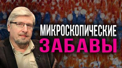 Микроскопические забавы. Сергей Савельев Микроскопические забавы. Сергей Савельев