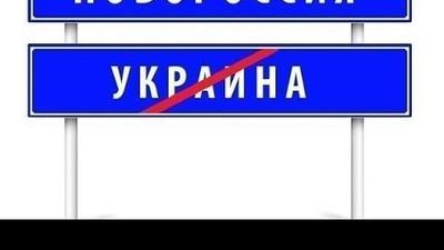 Самоорганизация Новороссии Самоорганизация Новороссии