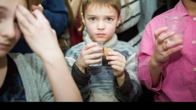 Вестник Новая Русь. Выпуск 22 Вестник Новая Русь. Выпуск 22