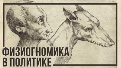 Физиогномика большой политики: Трамп, Макрон, Путин и другие Физиогномика большой политики: Трамп, Макрон, Путин и другие