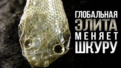 На кого сейчас делает ставку мировое правительство? На кого сейчас делает ставку мировое правительство?