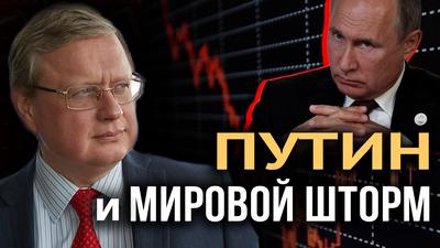 Сроки поджимают. Что узнал Путин. М. Делягин. И. Шишкин Сроки поджимают. Что узнал Путин. М. Делягин. И. Шишкин