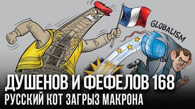 Кого волнуют тушки Путина Кого волнуют тушки Путина