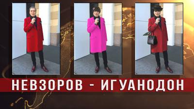 Спицын и Фефелов об идеологических перверсиях бывшего патриота Спицын и Фефелов об идеологических перверсиях бывшего патриота
