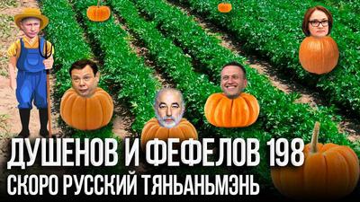 Вова, пора сажать Вова, пора сажать