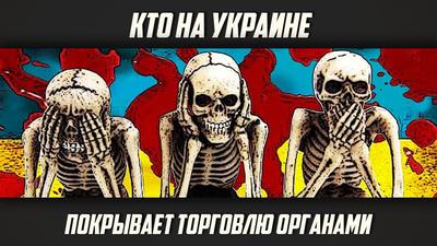 Юрий Кот."Кто на Украине покрывает торговлю органами" Юрий Кот."Кто на Украине покрывает торговлю органами"
