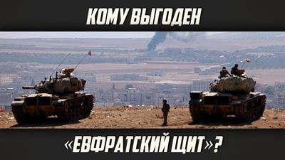 Владислав Шурыгин."Кому выгоден «Евфратский щит»?" Владислав Шурыгин."Кому выгоден «Евфратский щит»?"