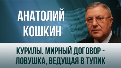 Анатолий Кошкин. "Курилы. Мирный договор - ловушка, ведущая в тупик" Анатолий Кошкин. "Курилы. Мирный договор - ловушка, ведущая в тупик"