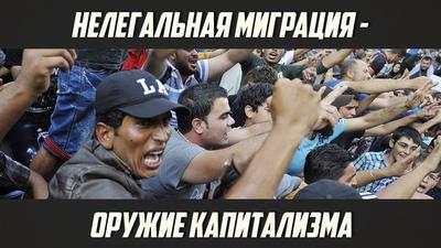 Крис Роман. "Нелегальная миграция - оружие капитализма". Крис Роман. "Нелегальная миграция - оружие капитализма".