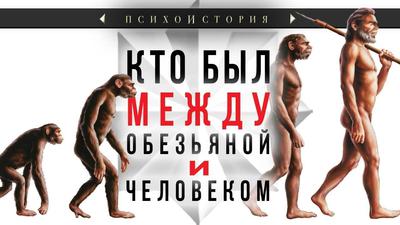Кто был между обезьяной и человеком? Кирилл Еськов Кто был между обезьяной и человеком? Кирилл Еськов