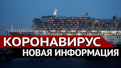 Что произошло на круизном лайнере. Ф. Лисицын Что произошло на круизном лайнере. Ф. Лисицын