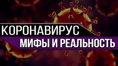 Рубежный момент. Как изменится наш мир. Фёдор Лисицын Рубежный момент. Как изменится наш мир. Фёдор Лисицын