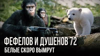 «Толстый Ын» олимпийского чемпиона «Толстый Ын» олимпийского чемпиона